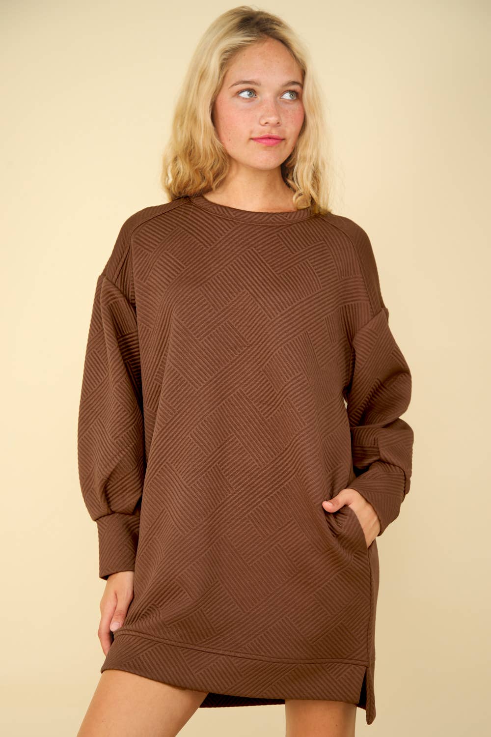 Round Neck Oversized Comfy Long Sleeve Mini Dress