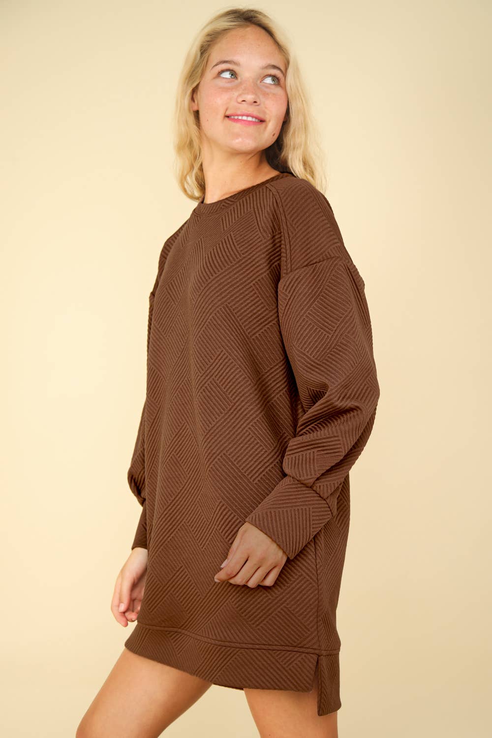 Round Neck Oversized Comfy Long Sleeve Mini Dress